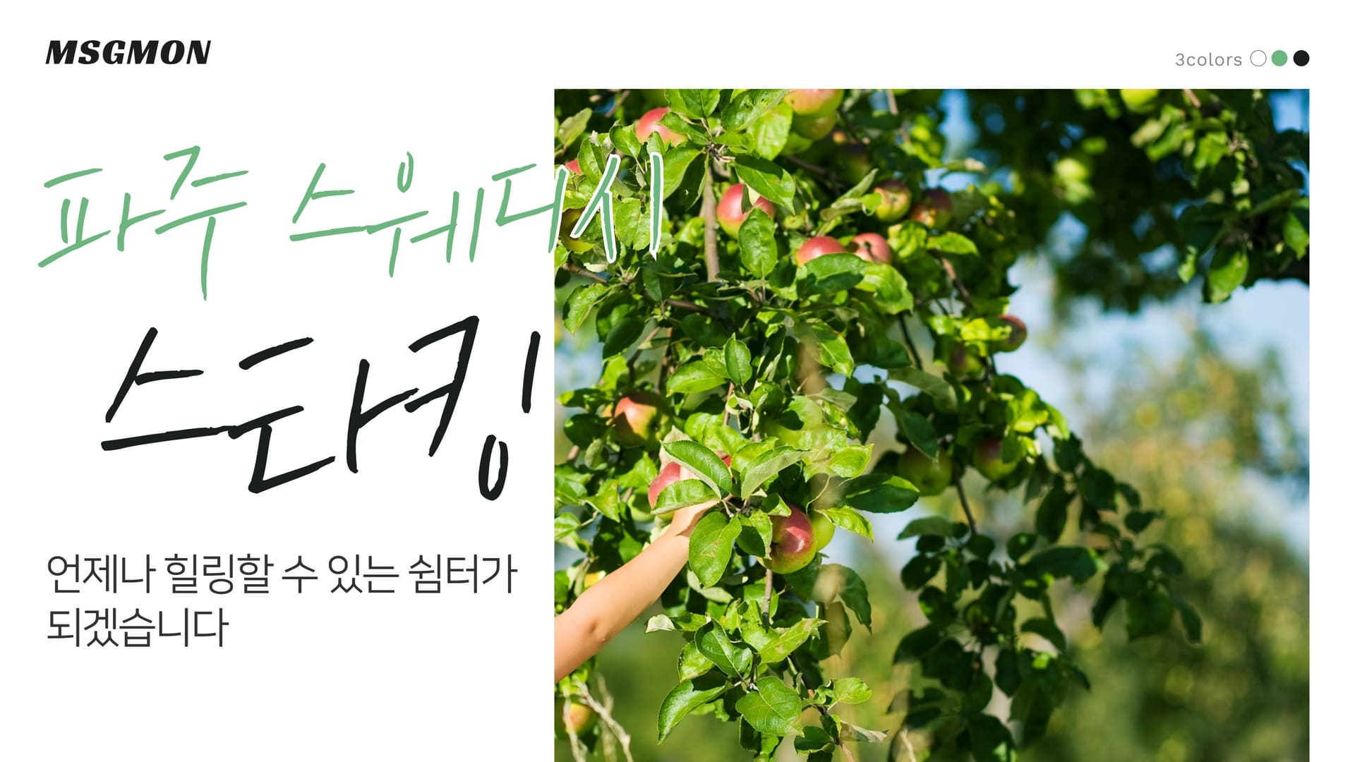 파주 스타킹